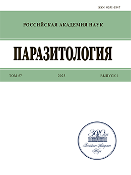 Page Header Logo